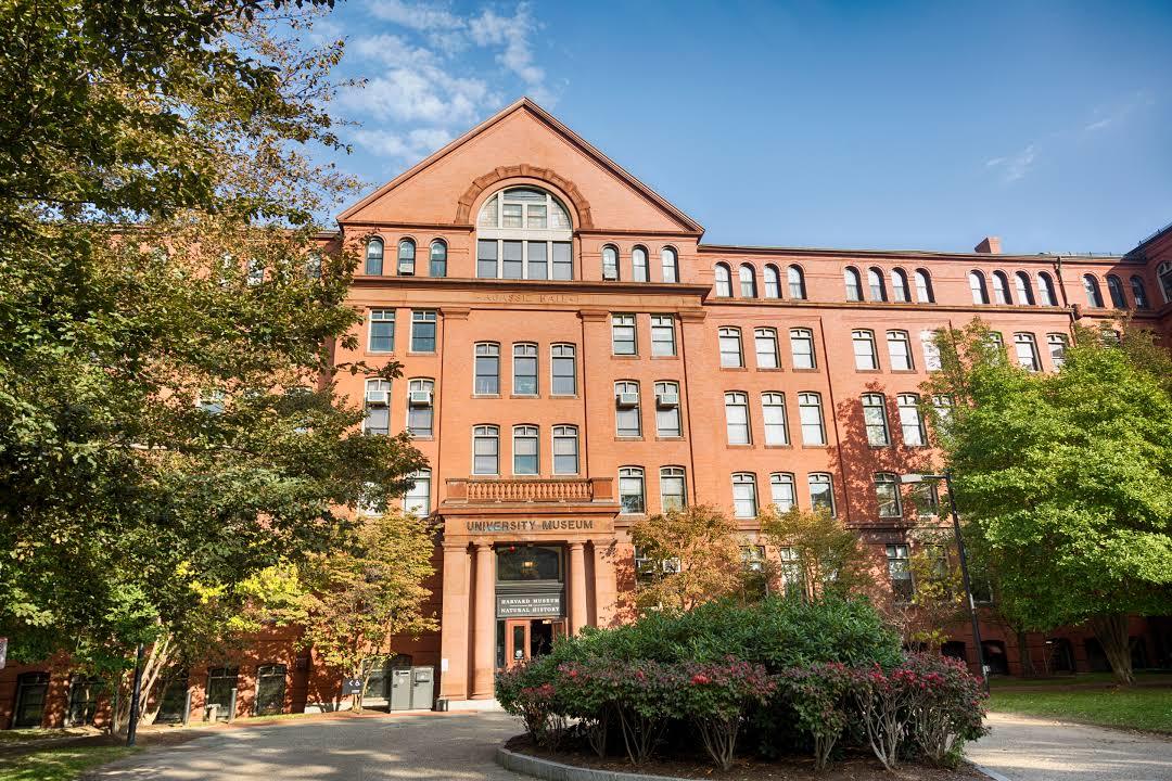 Harvard Museum of Natural History